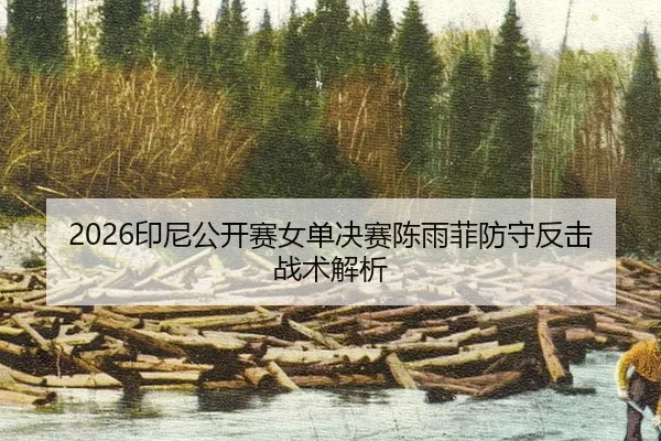 yin-ni-gong-kai-sai-nv-dan-jue-sai-chen-yu-fei-fang-shou-fan-ji-zhan-shu-jie-xi-2-503.jpg