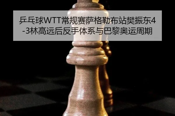 ping-pang-qiu-chang-gui-sai-sa-ge-lei-bu-zhan-fan-zhen-dong-lin-gao-yuan-hou-fan-shou-ti-xi-yu-ba-li-ao-yun-zhou-qi-3-291.jpg