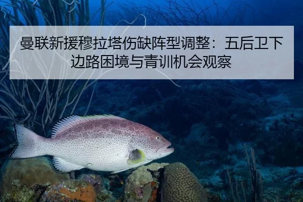 曼联新援穆拉塔伤缺阵型调整：五后卫下边路困境与青训机会观察
